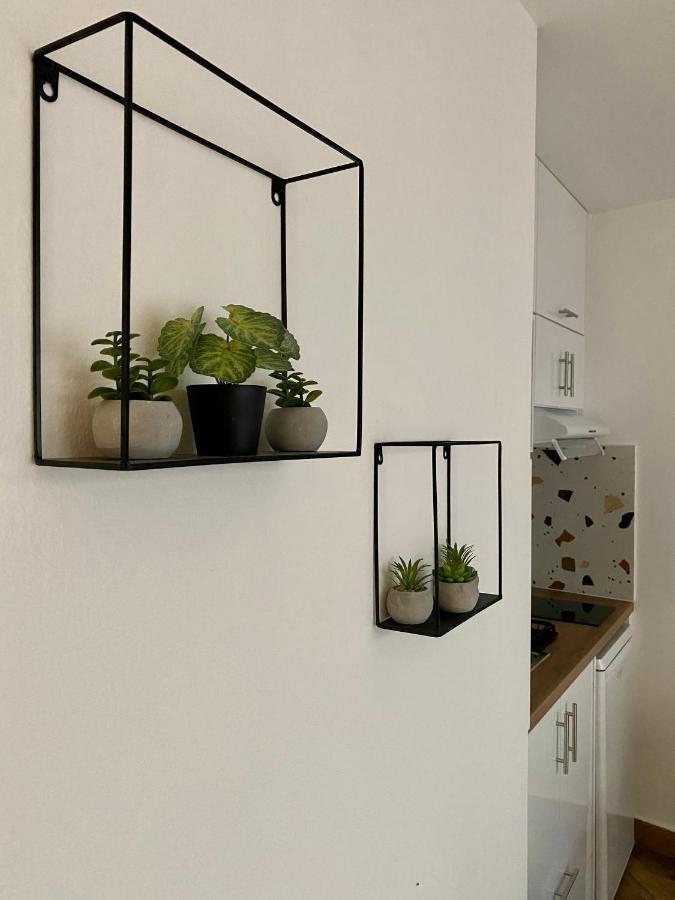 Sunshine Cozy Central Studio Basement كاندية المظهر الخارجي الصورة